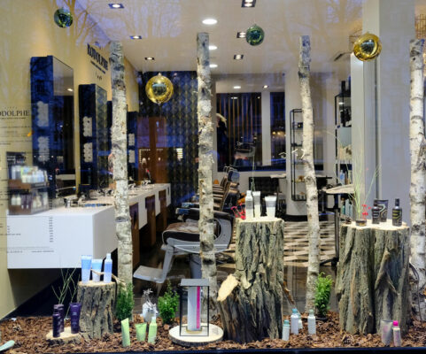 Vitrine extérieur Noël Salon Rodolphe